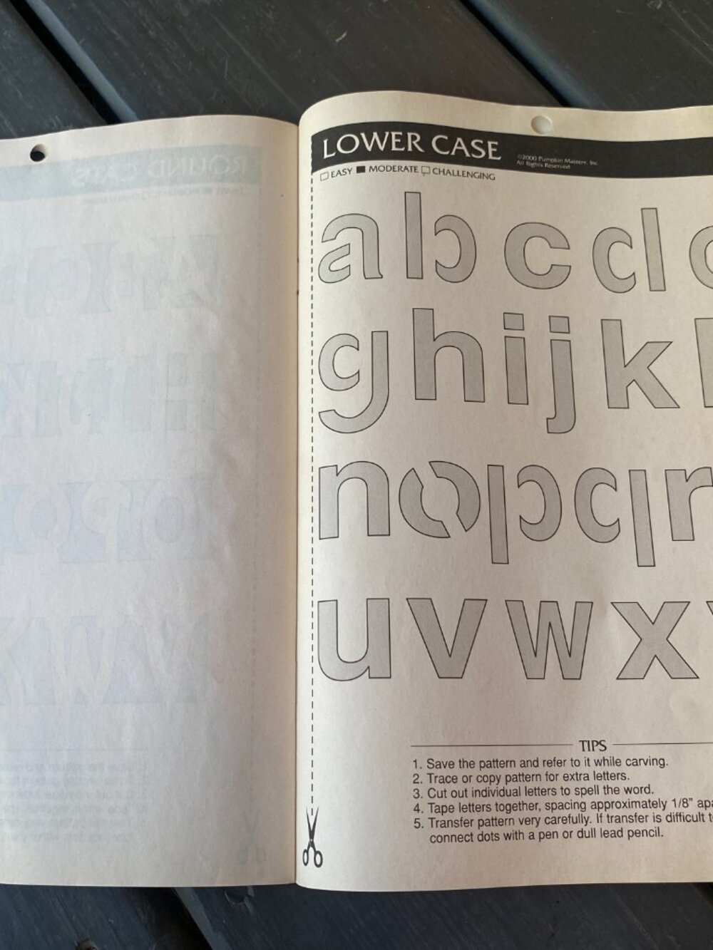 Pumpkin Masters-Lettering/Custom Craving Patterns book! - Picture 7 of 8